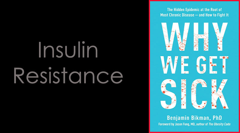 Ben Bikman & Insulin Resistance – Zoë Harcombe